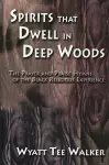 Spirits That Dwell in Deep Woods cover