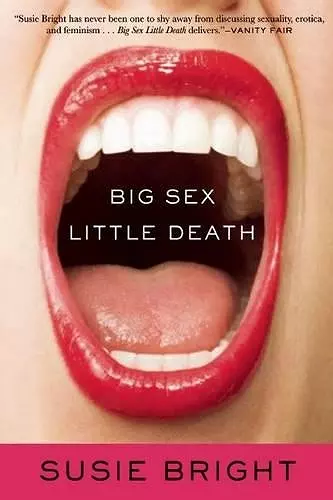 Big Sex Little Death cover