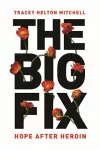 The Big Fix cover