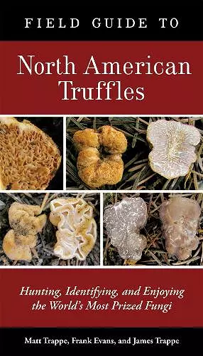 Field Guide to North American Truffles cover