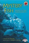 Mystery Fish cover