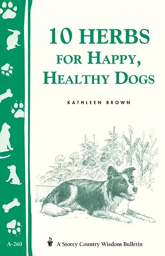 10 Herbs for Happy, Healthy Dogs cover