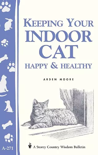 Keeping Your Indoor Cat Happy & Healthy cover