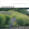 Grasses cover