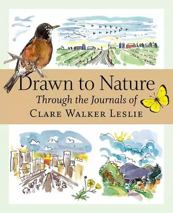 Drawn to Nature cover