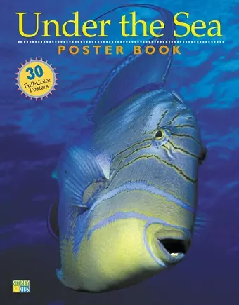 Under the Sea Poster Book cover