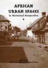 African Urban Spaces in Historical Perspective cover