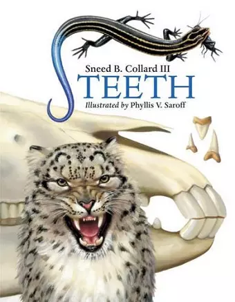 Teeth cover