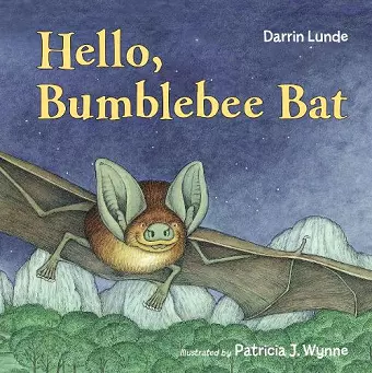 Hello, Bumblebee Bat cover