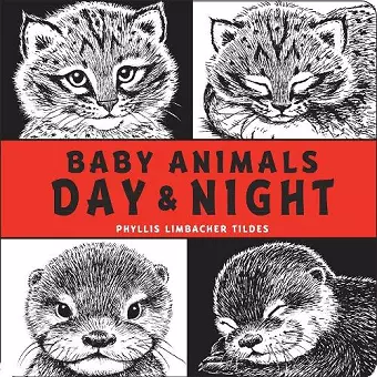 Baby Animals Day & Night cover