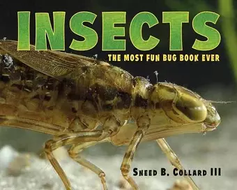 Insects cover