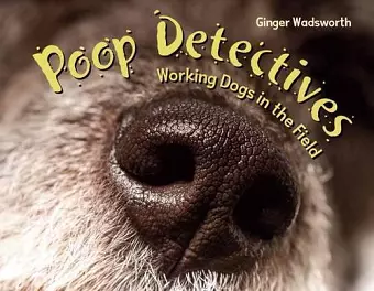 Poop Detectives cover