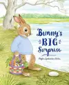 Bunny's Big Surprise cover