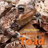 The Hidden Life of a Toad cover