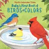 Baby's First Book of Birds & Colors cover