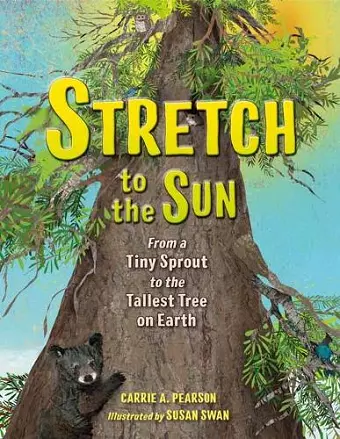 Stretch to the Sun cover