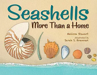 Seashells cover