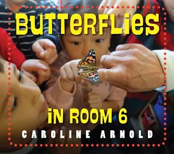 Butterflies in Room 6 cover