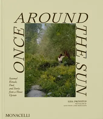Once Around the Sun cover