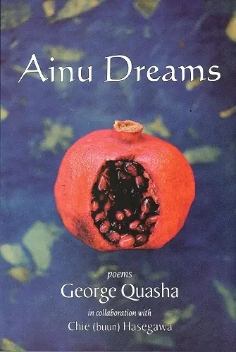 AINU DREAMS cover