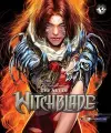 Art of Witchblade Art Book cover