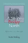 The Stone Bridge North cover