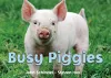 Busy Piggies cover