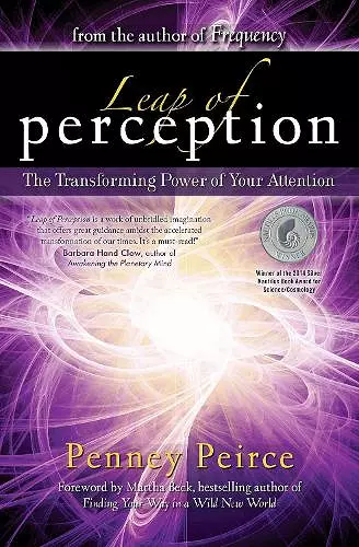 Leap of Perception cover