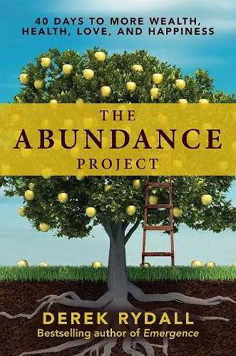 The Abundance Project cover