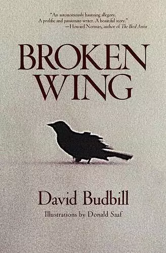 Broken Wing cover