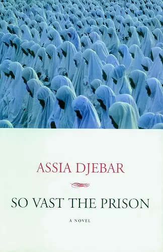 So Vast The Prison cover
