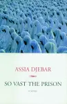 So Vast The Prison cover