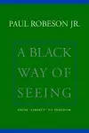 A Black Way Of Seeing cover
