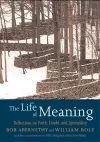 The Life of Meaning cover