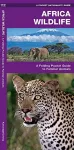 African Wildlife cover