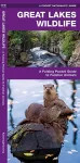 Great Lakes Wildlife cover