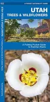 Utah Trees & Wildflowers cover