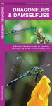 Dragonflies & Damselflies cover