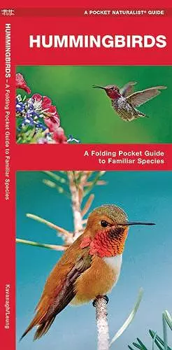 Hummingbirds cover