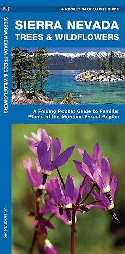 Sierra Nevada Trees & Wildflowers cover