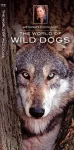 The World of Wild Dogs cover