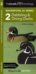 The Cornell Lab of Ornithology Waterfowl ID 2 Dabbling & Diving Ducks cover