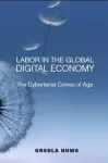 Labor in the Global Digital Economy cover