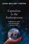 Capitalism in the Anthropocene cover