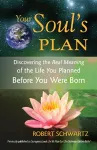 Your Soul's Plan cover