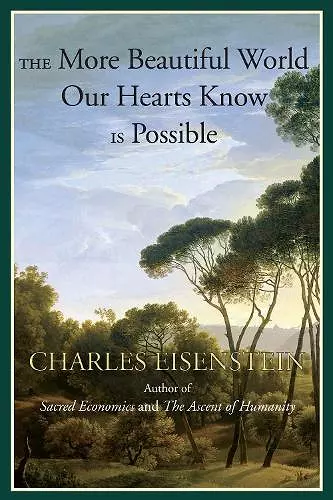 The More Beautiful World Our Hearts Know Is Possible cover