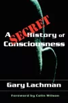 A Secret History of Consciousness cover