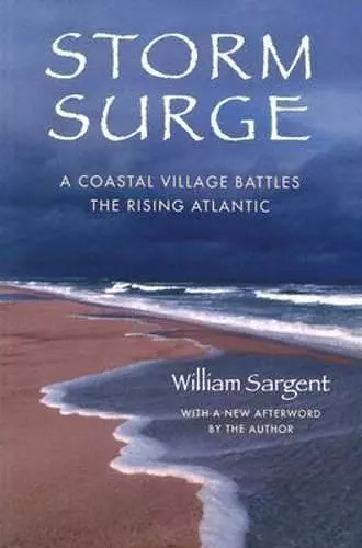 Storm Surge cover