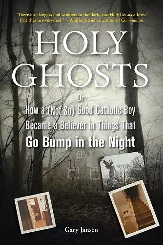 Holy Ghosts cover