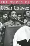 The Words of Cesar Chavez cover